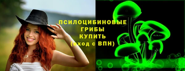 прущие грибы Алексеевка