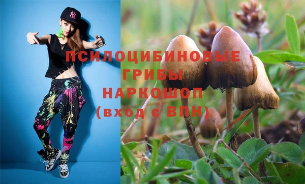 прущие грибы Алексеевка