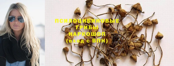 прущие грибы Алексеевка