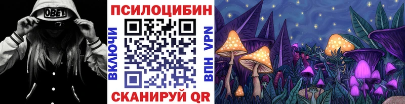 Галлюциногенные грибы Psilocybine cubensis  Нерехта 